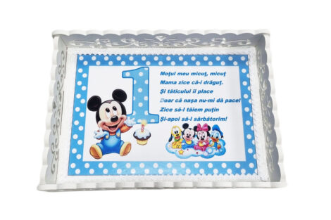 Tavita-mot-baieti-Mickey